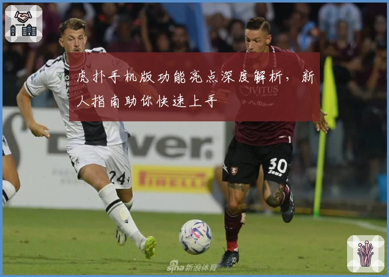 虎扑手机版功能亮点深度解析，新人指南助你快速上手