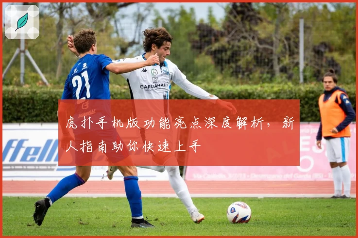 虎扑手机版功能亮点深度解析，新人指南助你快速上手